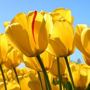 Meet your Posher, Matt & becky